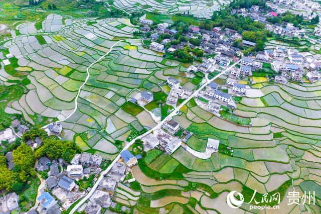 �����F��л�Ϫ�^(q��)��������������Wӛ�� Ϳ���z